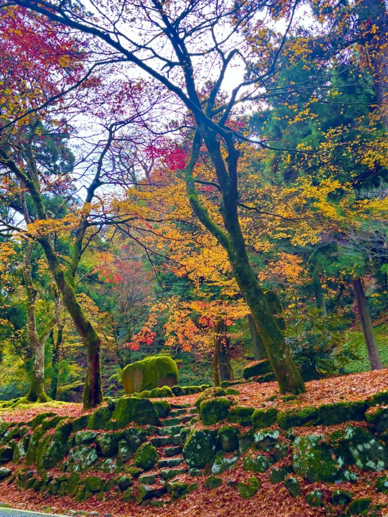 色とりどりの紅葉が広がる永平寺の庭
