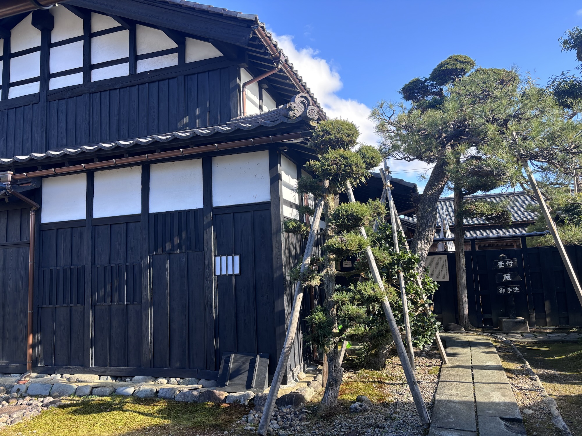 武家屋敷の外観と手入れされた松の木