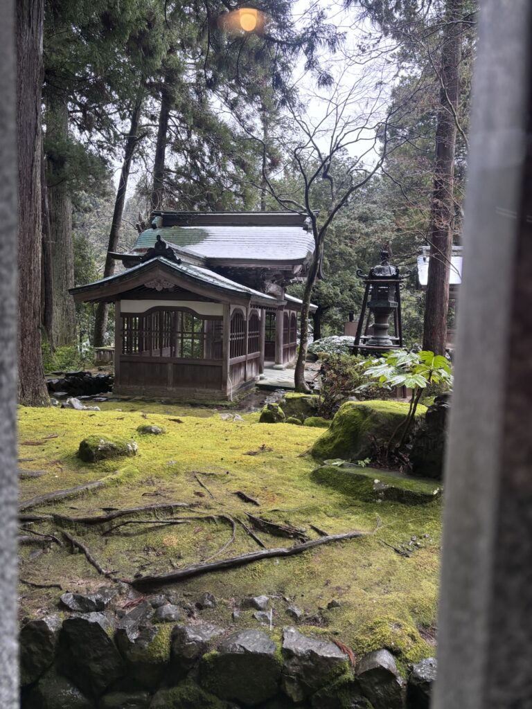 苔に覆われた静かな庭と小さなお堂