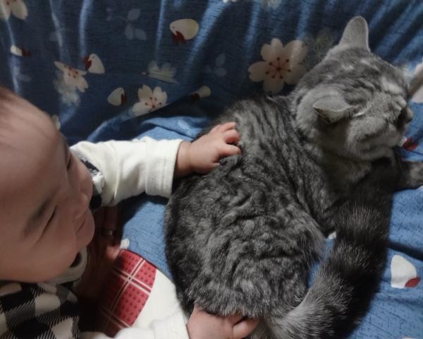 子どもがミルに触れようと手を伸ばし、少しずつ距離を縮めている様子