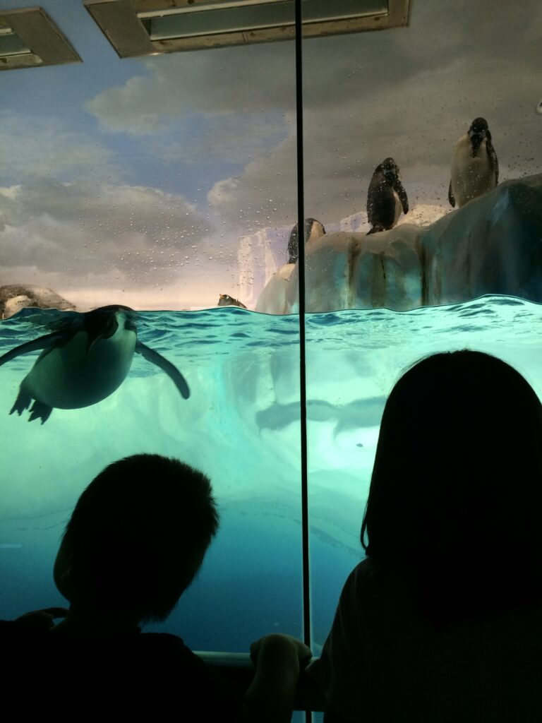 名古屋港水族館でペンギンを見つめる子どもたち