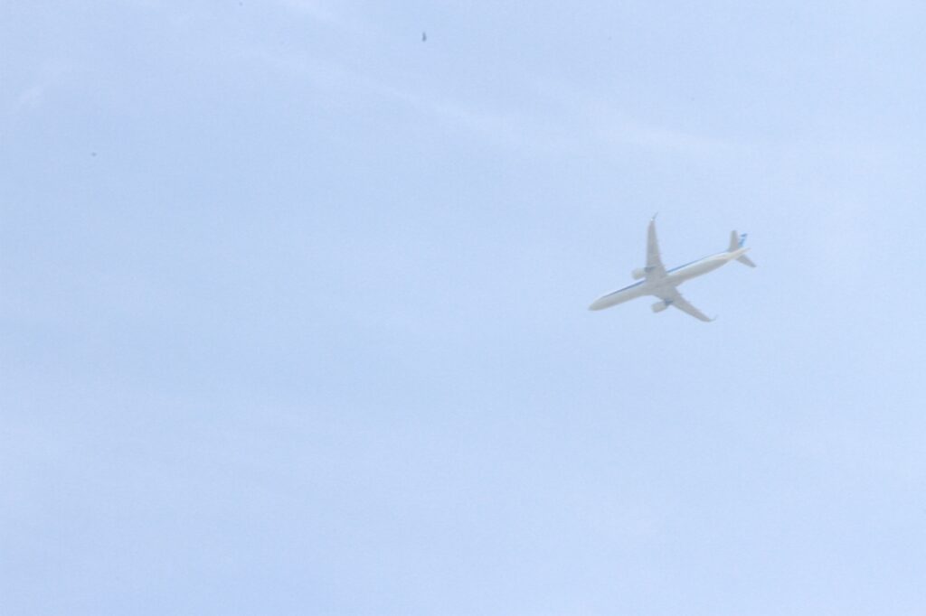 青空を飛ぶ一機の飛行機
