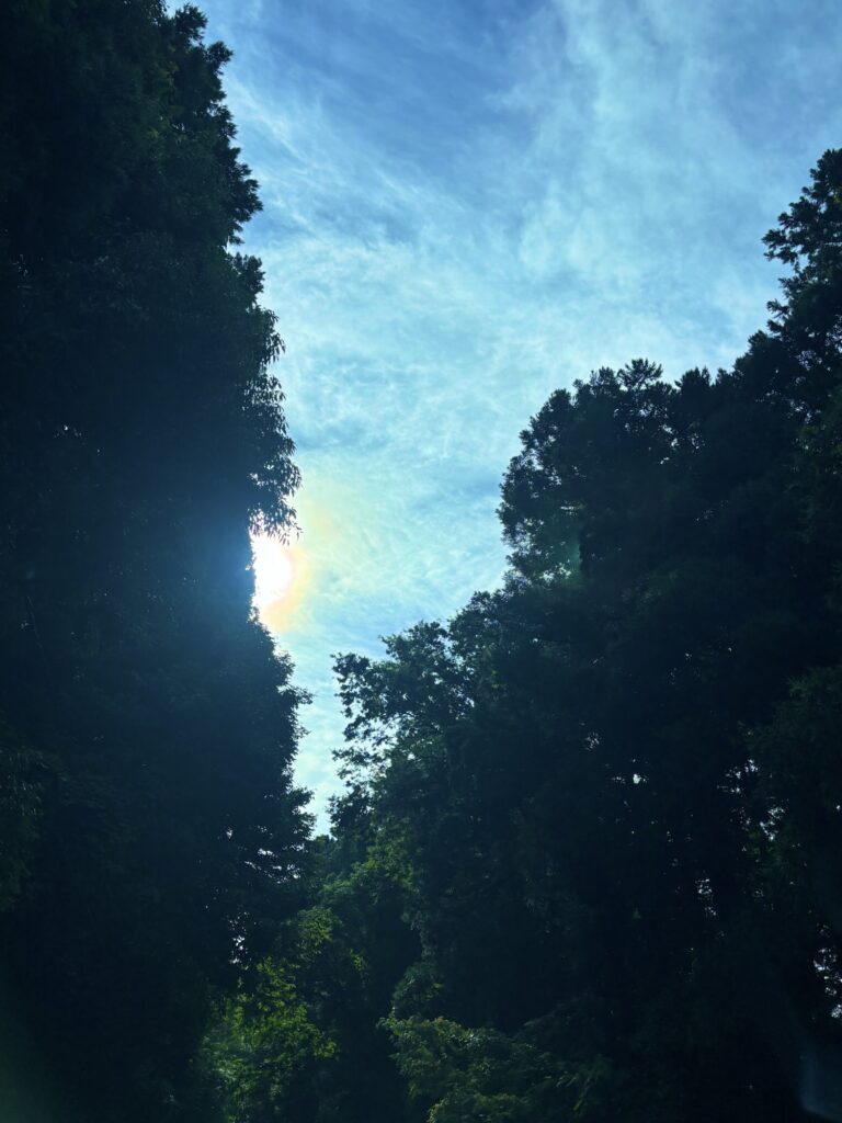 木々の間から朝日が差し込み、青空に薄い雲が広がる山の朝。虹色の光がうっすら見える幻想的な景色。