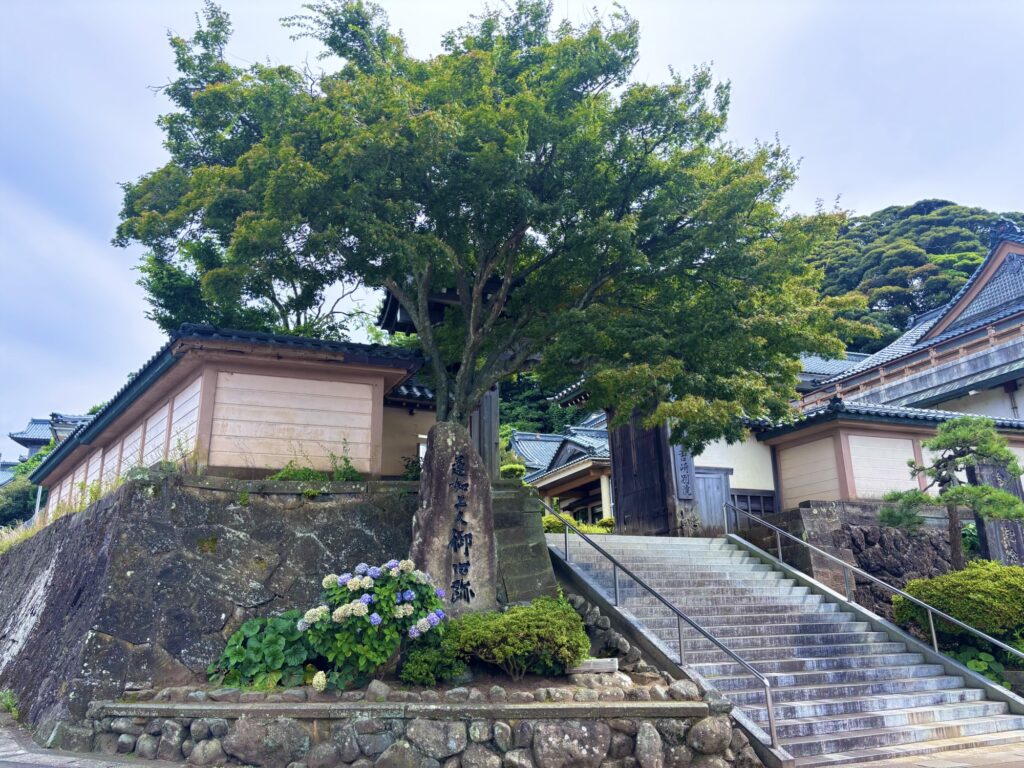 福井県あわら市の願慶寺と大きな木、石段の風景